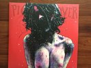 PIG DESTROYER 