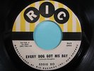 EDDIE BO 45 Every Dog Got His Day RIC rare new breed r&b northern soul VG+