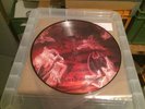 IMMOLATION.DAWN OF POSSESSSION.LP.PICT DISC. RARE.