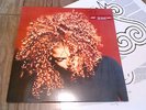 Janet Jackson - The Velvet Rope 2X LP w/ Inners // UK Virgin