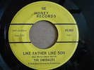 THE EMERALDS Like Father Like Son/Emerald City 45 Ne Honey 1103 SURF GARAGE ROCK