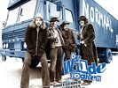 NORMAAL - DE WILDE JOAREN 2 LP SET  LIMITED EDITION OF 220 COPY S  ROOD VINYL