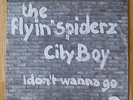 FLYIN‘ SPIDERZ 7“ mint 1977 ‘City Boy‘ FILTH kbd ZMIV Dutch punk HELMETTES, TITS