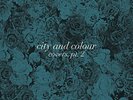 City And Colour Covers Part 2 BLACK VINYL 7