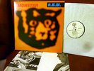 R.E.M. 