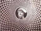 MALE GAZE - Gale Maze - LP + MP3 download code