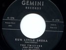 The Twisters  Soul Doo Wop 45 Record GEMINI Run Little Sheba Truly HEAR