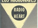 LOS MICROWAVES 1979 synyth wave 7