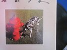 Rush Signals Record