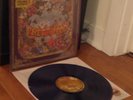 PANIC AT THE DISCO PRETTY ODD VINYL LP PURPLE OOP RARE