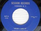 HUDSON VALLEY BOYS Stop I Like It b/w Dustin ROCKABILLY 45 w115