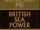 NEW BRITISH SEA POWER REMEMBER ME SEVEN INCH VINYL RARE DELETED CHOICE OF NAMES