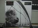 LP VINILO PEARL JAM VS VERSUS REMASTERED 180G REISSUE VINYL GRUNGE