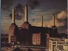 Pink Floyd - Animals JAPAN LP with INSERTS