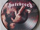 HATEBREED 'Divinity Of Purpose' Picture Disc Vinyl LP NEW