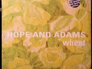 WHEAT HOPE AND ADAMS POP/PSYCH LP 180 GRAM IN SHRINK FLAMING LIPS MERCURY REV