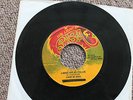 LIGHT OF SABA - Lambs Bread Collie (Light of Saba JA) 1978 - hear