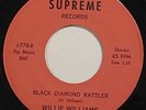 BLUES 45 - WILLIE WILLIAMS My Baby Is Gone / Black Diamond Rattler