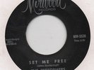 THE PERFORMERS-SET ME FREE(GREAT OLDIE)-MIRWOOD.