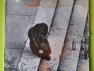 T.N.T. - Rimado De Ciudad LP vinyl 12