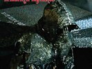 TEMPLARS - 