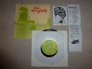 THE SPRINGFIELDS - SUNFLOWER SARAH 10 1988 MINT- FREE UK POST