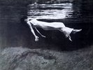 BILL EVANS Undercurrent NEW/SEALED MOBILE FIDELITY MFSL 031 LP JAZZ