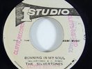 Silvertones 
