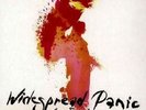 Widespread Panic / Free Somehow - 2 Vinyl LP