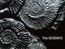 The Sundays Reading Writing & Arithmetic Vinyl LP 1st UK Edition Rough 148 MINT