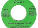 NORTHERN SOUL  USA 45 -Jobell and Orchestra de Salsa  Never gonna let you go Jan