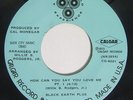 BLACK EARTH PLUS How Can You Say You Love Me 45 on Calgar Rare 70s Soul Funk M-