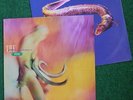 BREEDERS first LP 'Pod' mint 1990 PIXIES member Kim Deal US Alternative Rock KBD