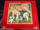 THE MUTUAL UNDERSTANDING“In Wonderland”Clean Orig Canadian Sunshine Pop Psych