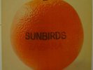 Sunbirds Zagara LP 2396 101