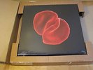 Peter Gabriel Scratch My Back Limited Edition Box Set SEALED RED LP+USB Only 500
