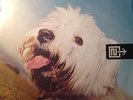 Moloko - Sing It Back (Promo) 12“ House Vinyl RARE