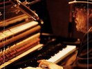 Bill Fay - Who is the Sender? - Sealed Gatefold 2 x Vinyl LP + Download