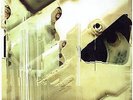 AUTECHRE ANVIL VAPRE 12