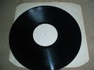 The Saints I’m Stranded LP / Rare Harvest WHITE LABEL PROMO / Punk Damned