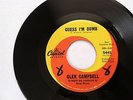 BRIAN WILSON - GLEN CAMPBELL - GUESS I'M DUMB - THE HONEYS