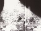 Asunder, Sweet And Other Distress by Godspeed You Black Emperor (Format: Vinyl)