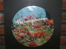 Acid Mothers Temple & The Melting Paraiso UFO 41st Century Splendid Man LP NM+