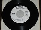 AMERICA A Horse With No Name 1971 WB White Label Stereo/ Mono Promo