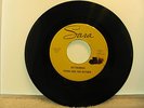 Robin and The Batmen-Batskinner/Louie Louie-1966 Sara J-6614- Wisconsin garage