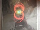 Binaural by Pearl Jam (Vinyl, May-2000, Epic (USA))
