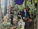 THE LITTLE BOY BLUES-IN THE WOODLAND OF WEIR - ORG. USA FONTANA PSYCH LP