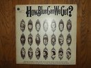 HOW BLUE CAN WE GET - BLUES COMPILATION LP ON BLUE HORIZON LABEL CAT# PRT 45/46