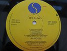 The Ramones IT'S ALIVE UK 2 LP 1ST PRESS SIRE 100% ONCE PLAYED  MINT MINUS