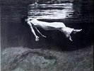 Bill Evans / Jim Hall - Undercurrent Vinyl LP